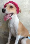 PEQUENA.