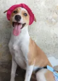 PEQUENA.