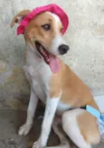 PEQUENA.