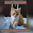 ANTONY