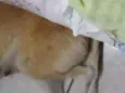 Mike