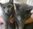 Kim & Kiara