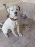 Eros