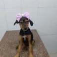 Rubi