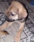Kiteria