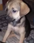 Kiteria