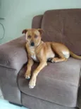 Tom