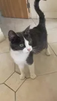 Não tem 