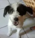 Princesa