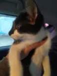 Lili