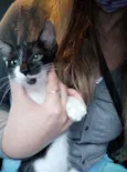 Lili