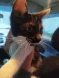 Lili