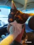 Lili