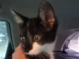 Lili