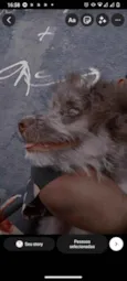 Nick