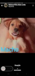 Ainda não tem nome