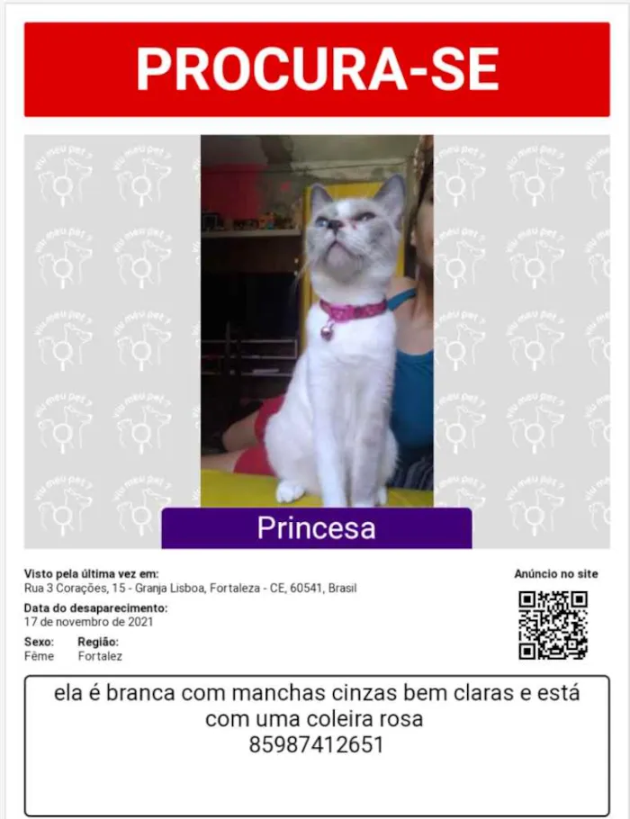 Gato ra a Desconhecida idade 2 anos nome Princesa