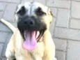 Duda