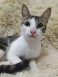 Mirabel