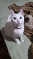 Lili