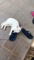 Lili