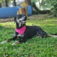 NATY