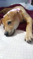 Juliette