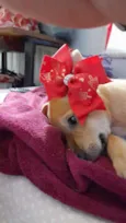 Juliette