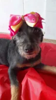 Mia