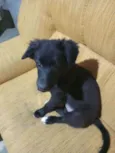 Princesa