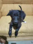 Princesa
