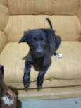 Princesa