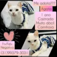 Ágata 