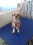 Luck