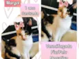 Margot 