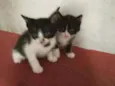 Sem nome