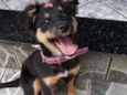Bella