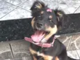 Bella