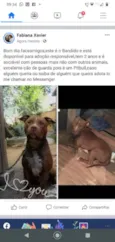 Bandido
