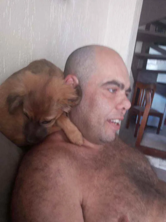 Cachorro ra a Viralata e show show idade 2 a 6 meses nome Nega e preta