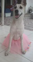 Valentina