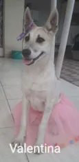 Valentina