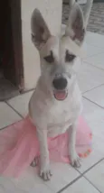 Valentina