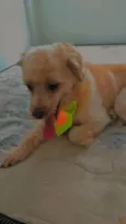 Lucky