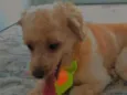 Lucky