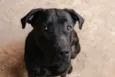 Sirius
