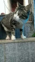RAÍ