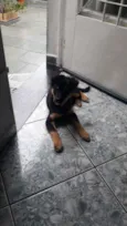 Bella