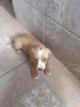Ainda não tem