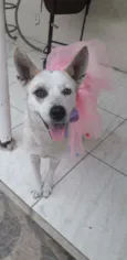 Zoe